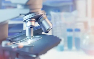 Schadstoffanalyse durch akkreditiertes Labor